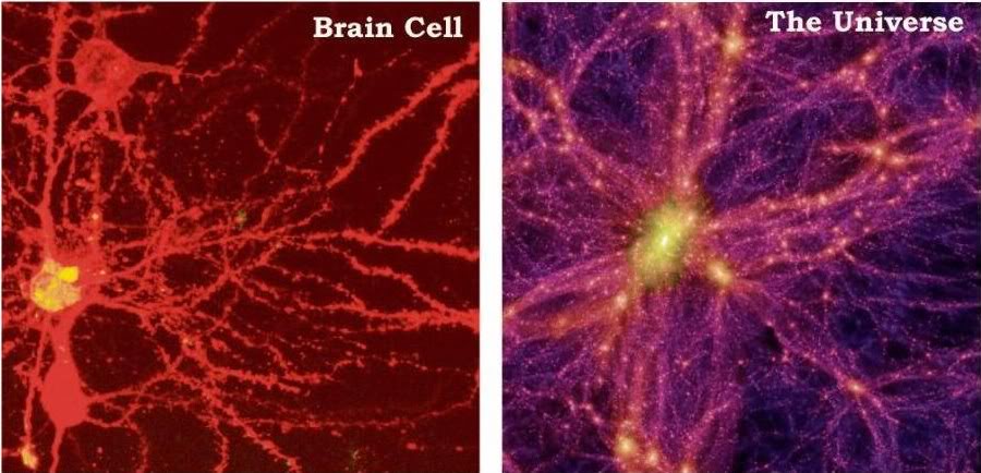 Brain Cell VS Electromagnetic Plasma in Universe